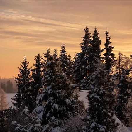 Hexenlandhaus Tom, Oberharz, Mit Sauna Prázdninový dům