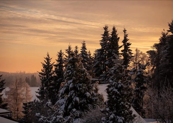 Hexenlandhaus Tom, Oberharz, Mit Sauna Tatil Evi