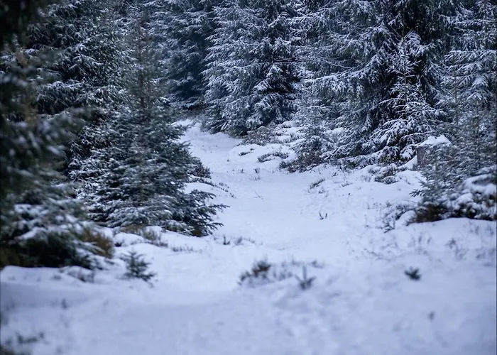 Hexenlandhaus Tom, Oberharz, Mit Sauna Tatil Evi *