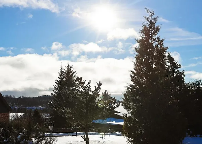 Hexenlandhaus Tom, Oberharz, Mit Sauna