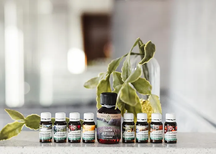 Tatil Evi Hexenlandhaus Tom, Oberharz, Mit Sauna Braunlage